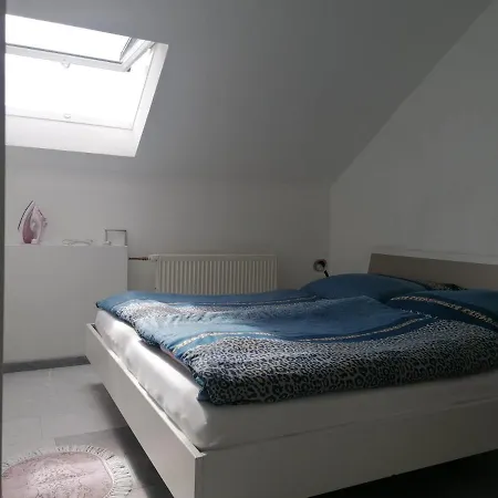 An Der Schweizer Grenze *